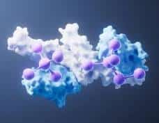 peptides